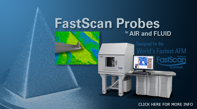 http://www.brukerafmprobes.com/t-fastscan-probes.aspx