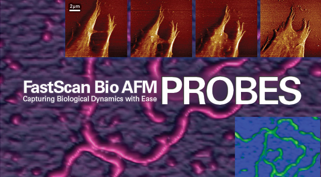 http://www.brukerafmprobes.com/t-dimension-fastscan-bio-probes.aspx