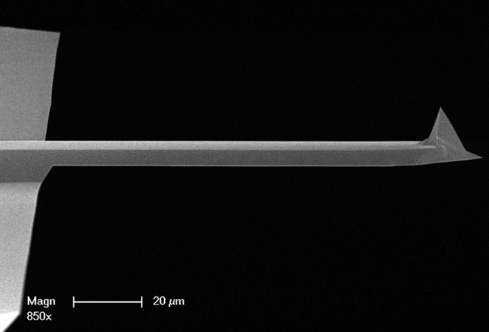 FIB3D2-100A Cantilever Image
