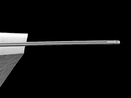 VITA-MM-NANOTA-300 Cantilever Image