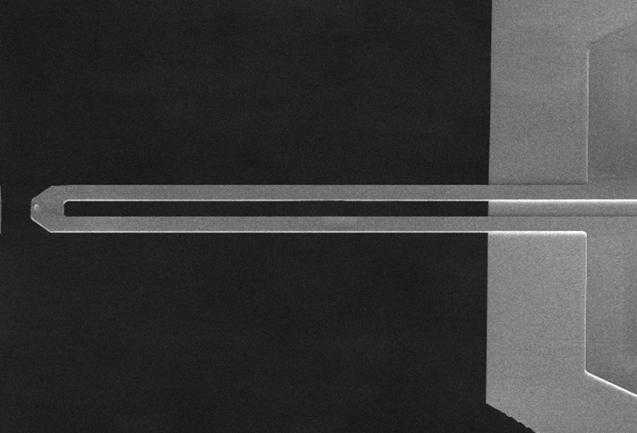 VITA-HE-NANOTA-300 Cantilever Image