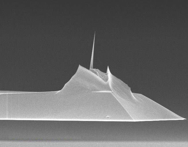 FIB3D2-100A Tip Image